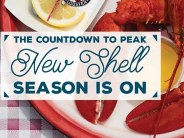 Season of Maine Lobster Sweepstakes - Win A Lobster