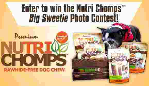 BOB & TOM Show Nutri Chomps Dog Photo Contest