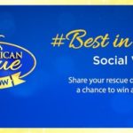 Best In Rescue At Home Contest (hallmarkchannel.com)