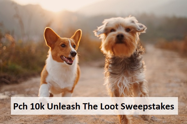 Pch 10k Unleash The Loot Sweepstakes