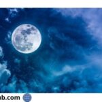 Blue Moon Relax Under the Moon Holiday Sweepstakes