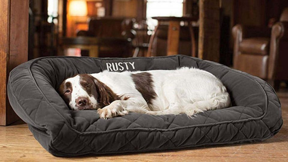 Customizable Orvis Bolster Dog Bed Giveaway