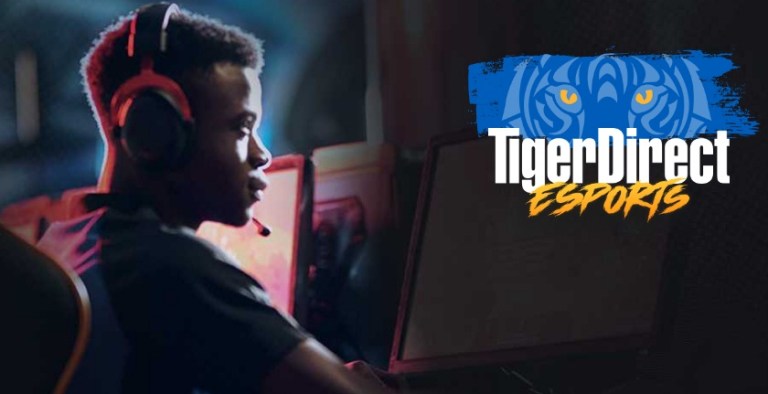 Tiger Direct’s Sweepstakes