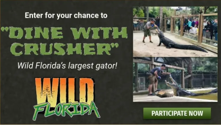 WKMG Dine With Crusher Wild Florida Largest Gator Contest