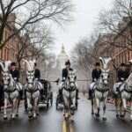 White horses with horse to carry casket in albany ny: A Touching Farewell